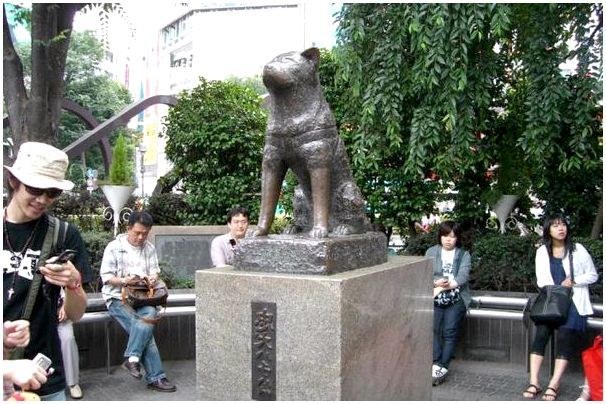 Памятник собаки в японии порода thumbnail