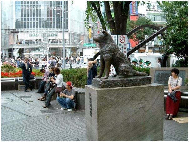 Памятник Хатико в Токио