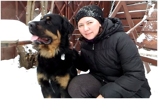 Породы новосибирских собак и не только thumbnail