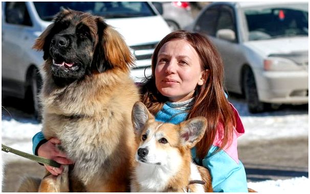 Породы новосибирских собак и не только