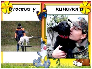В гостях у кинолога 