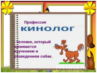 Презентация викторина породы собак