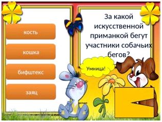 Умница! дальше кость кошка бифштекс заяц За какой искусственной приманкой бе