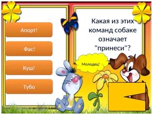 Молодец! дальше Апорт! Фас! Куш! Тубо Какая из этих команд собаке означает quot;
