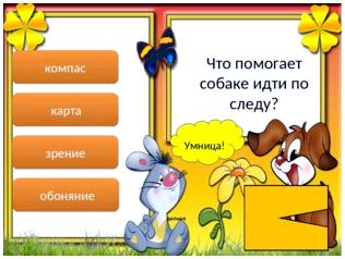  Умница! дальше компас карта зрение обоняние Что помогает собаке идти по следу? 