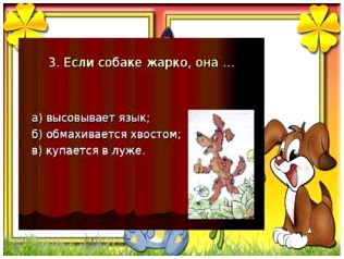 Презентация викторина породы собак