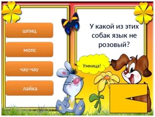  Умница! дальше шпиц мопс чау-чау лайка У какой из этих собак язык не розовый? 