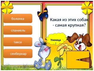 Умница! дальше болонка спаниель такса сенбернар Какая из этих собак - самая