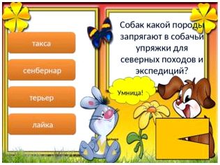 Умница! дальше такса сенбернар терьер лайка Собак какой породы запрягают в с