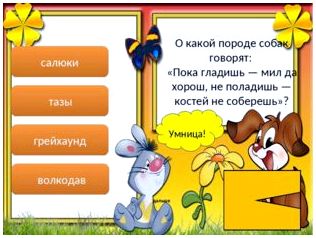 Умница! дальше салюки тазы грейхаунд волкодав О какой породе собак говорят: