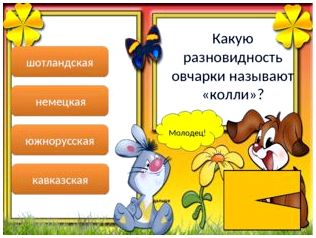 Молодец! дальше шотландская немецкая южнорусская кавказская Какую разновидно