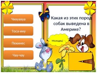 Молодец! дальше Чихуахуа Тоса-ину Пекинес Чау-чау Какая из этих пород собак