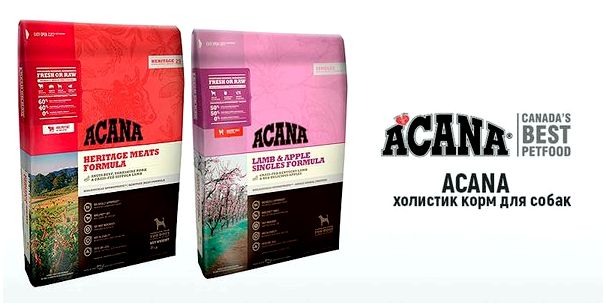 Acana - холистик корм для собак