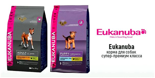 Eukanuba - корма для собак супер-премиум класса