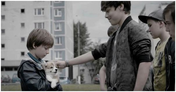 Реклама корма для собак с мальчиками