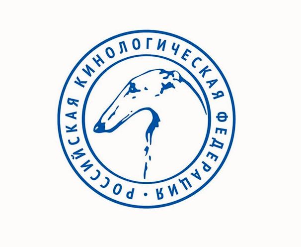 РКФ направила мэру Москвы обращение с просьбой пересмотреть требования по выгулу домашних животных