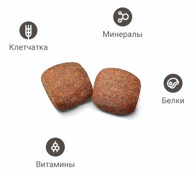 Состав корма роял канин для собак для йорков