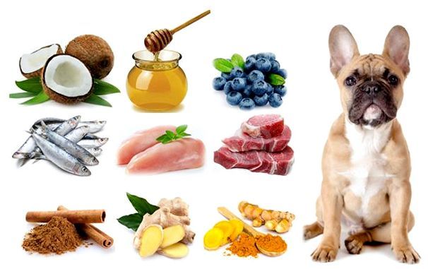 Натуральное питание для собак средних пород