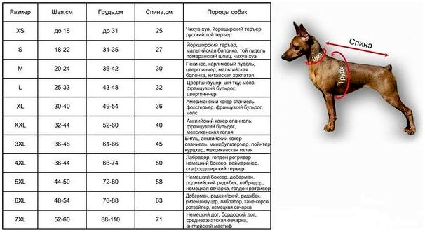 Вязание для собак больших пород